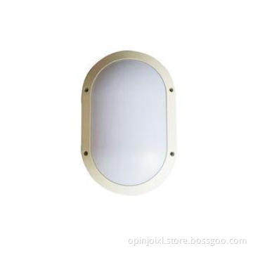 3000K - 6000K 20 W Outdoor LED Ceiling Light Fixtures For P